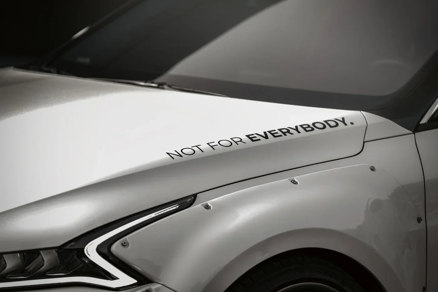 Not for Everybody Decal