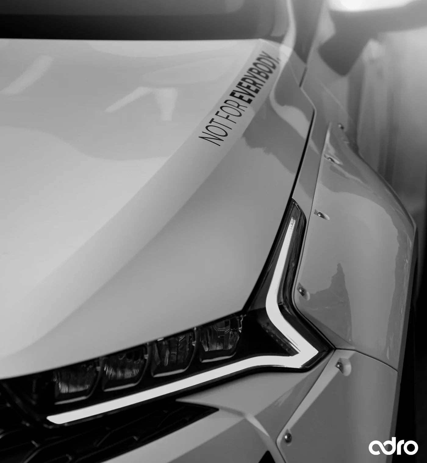 Not for Everybody Decal